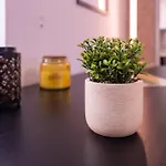 Yellow House - Ecohost - Casa Com Jardim Privado E Bbq Perto Do Porto, Aeroporto E Praias Gæstehus Perafita